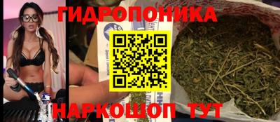 прущий лед Будённовск