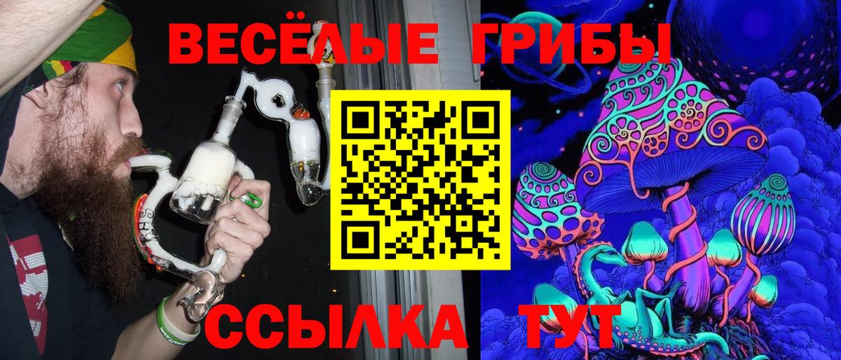 продажа наркотиков  Галлюциногенные грибы мухоморы  Вход с VPN  Тулун 